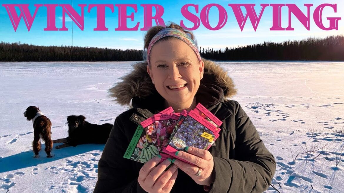 Seeds in Winter! Alaska Homestead Seed haul and ready to start our 2025 garden season Seeds in Winter! Alaska Homestead Seed haul and ready to start our 2025 garden season
