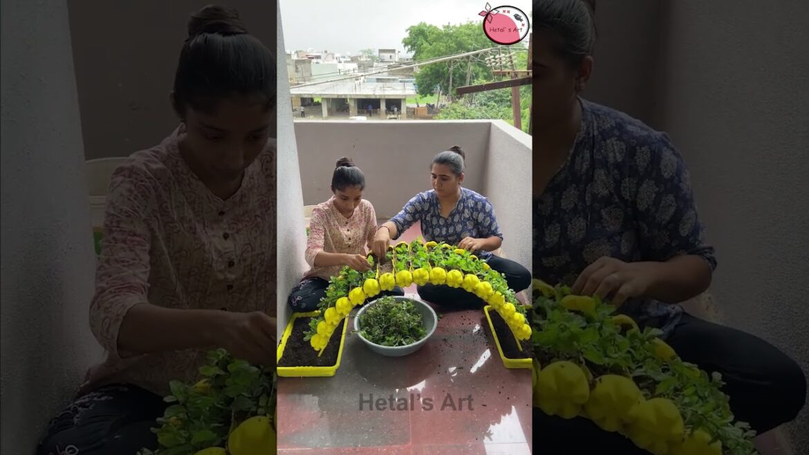 Awesome Garden decoration ideas - recycle a plastic bottle for gardening #garden #decor #recycle