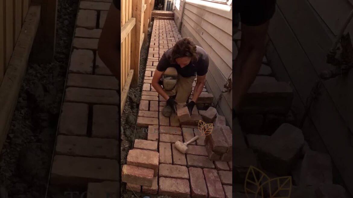 Brick side pathway. Basket Weave  #gardendesign #brickpaving #backyardgardendesign