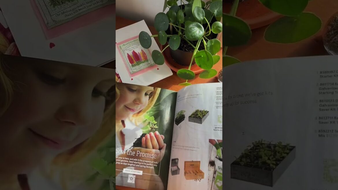 Fall In Love with Gardening