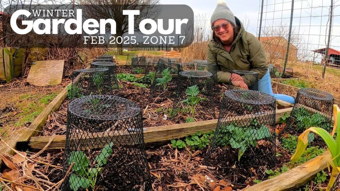 Let’s Tour The Garden (Before It Dies)! | Mulling Over 2025 Garden Plans Let's Tour The Garden (Before It Dies)! | Mulling Over 2025 Garden Plans