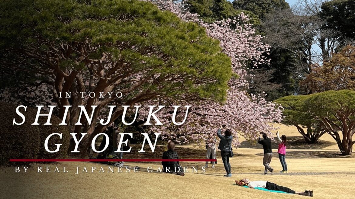 SHINJUKU GYOEN in Tokyo by Real Japanese Gardens 2024 4K HD SHINJUKU GYOEN in Tokyo by Real Japanese Gardens 2024 4K HD