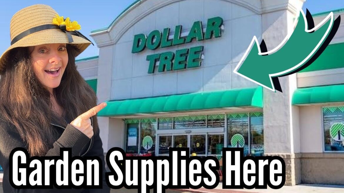 Dollar Tree Garden – Early Spring Inventory! Dollar Tree Garden - Early Spring Inventory!