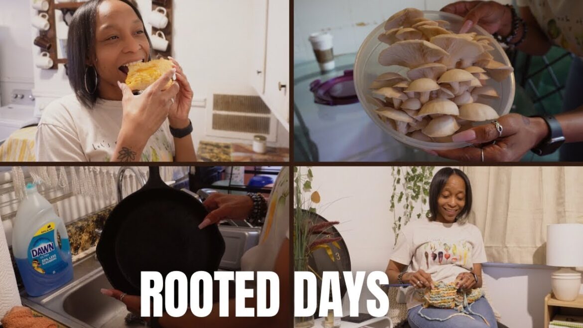 Rooted Days – Ep. 4 | What I Have Knitted | Cast Iron Pan Care | Mushroom Harvest | Cooking Rooted Days - Ep. 4 | What I Have Knitted | Cast Iron Pan Care | Mushroom Harvest | Cooking