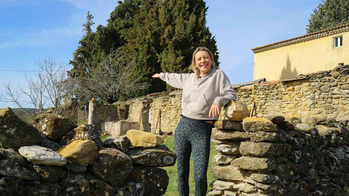 RESTORING the walled garden: huge clearout and plans!