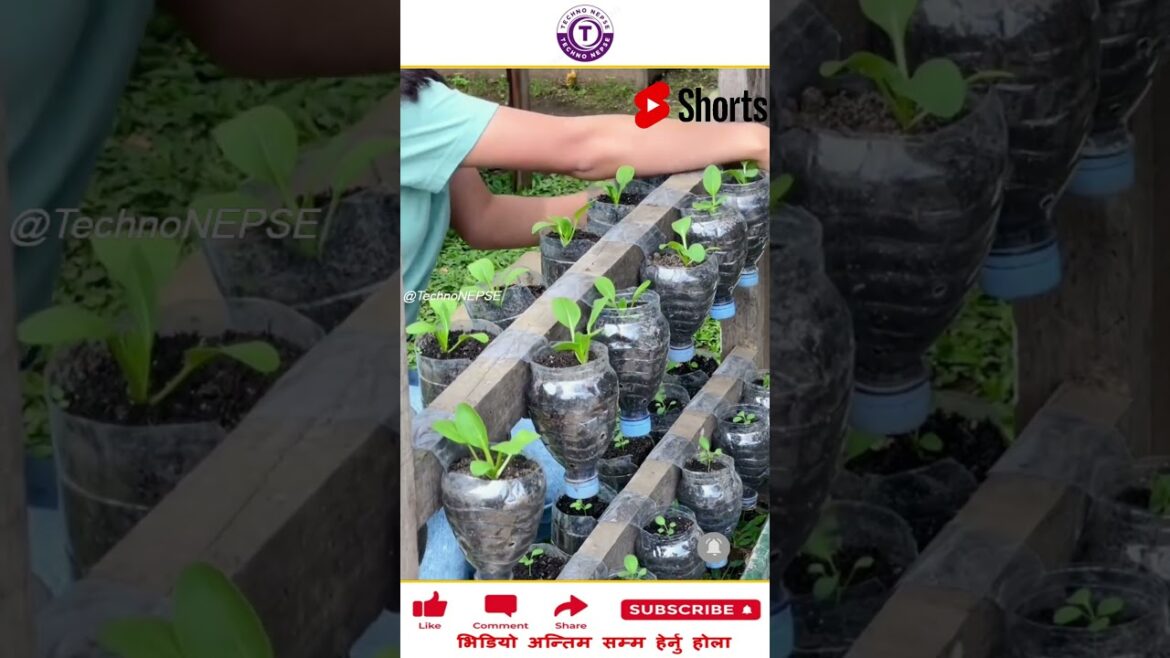 फालिएको बोतललाई यसरी युज गर्नुहोला ? #amazingfacts #mostpopular #mostviral #viralshorts #shorts