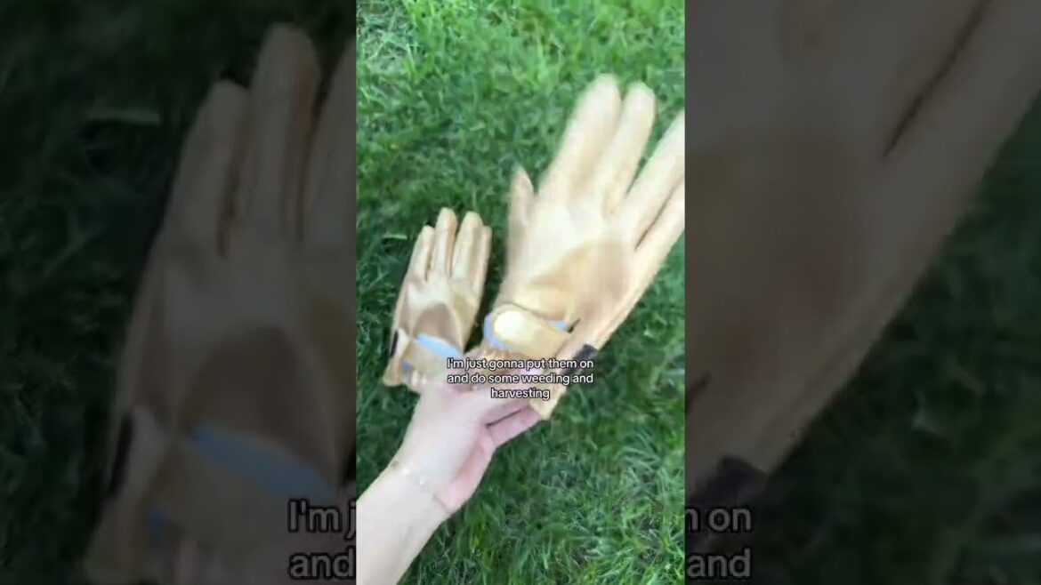 (PART 4/6) Fall in my backyard garden 🫶🥹