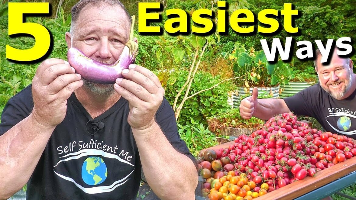 5 Easiest Ways to Start a Food Garden From Cheapest to Dearest 5 Easiest Ways to Start a Food Garden From Cheapest to Dearest