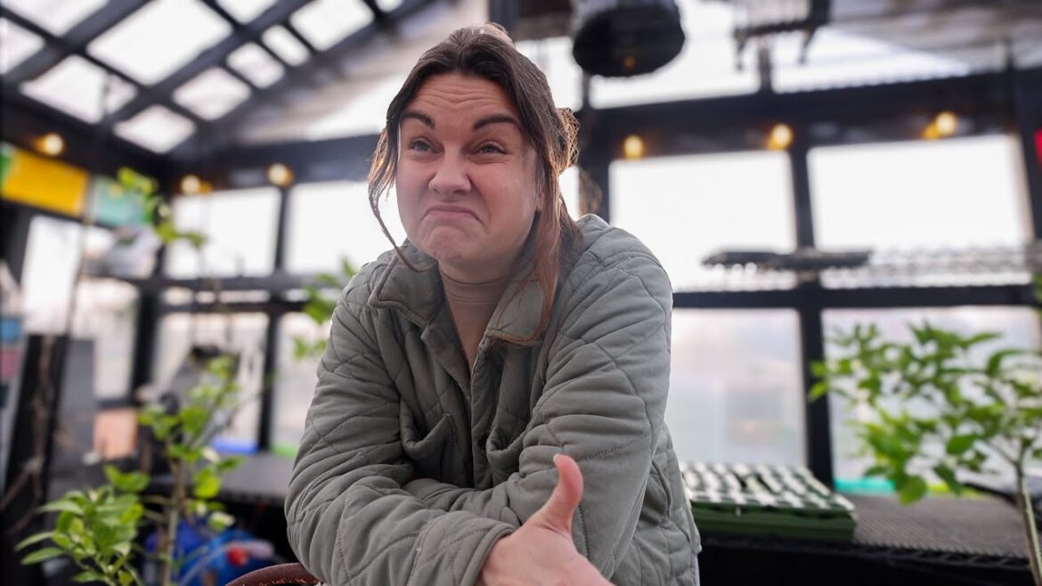Roots and Refuge Farm: Seed saving the lazy way (& the doe code) | VLOG Seed saving the lazy way (& the doe code) | VLOG