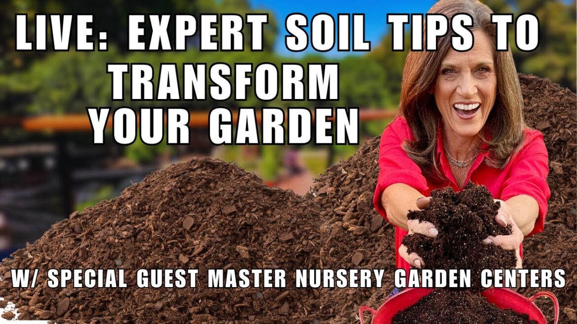 LIVE:  Transform Your Garden: Expert Soil Tips To Grow More Veggies -  w/ Master Nursery