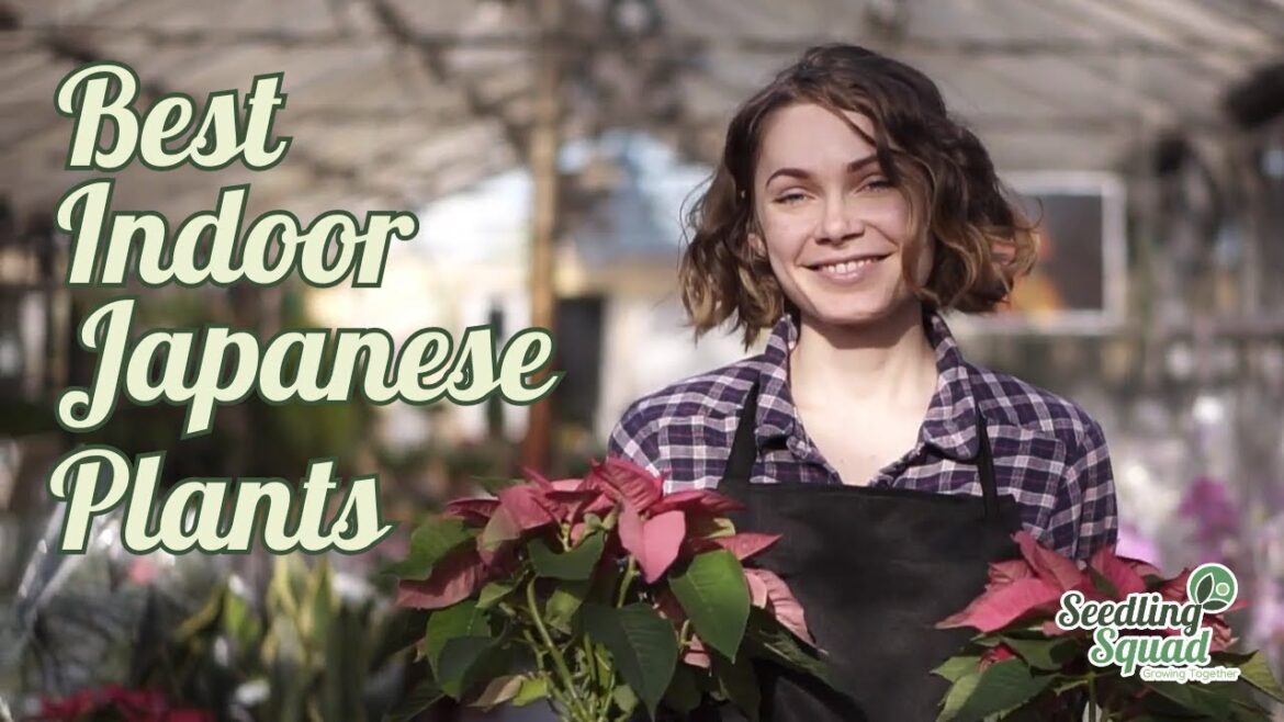 10 Best Indoor Japanese Plants For Any Garden 10 Best Indoor Japanese Plants For Any Garden