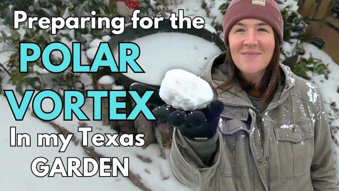 Preparing for ANOTHER Polar Vortex in my Texas garden!