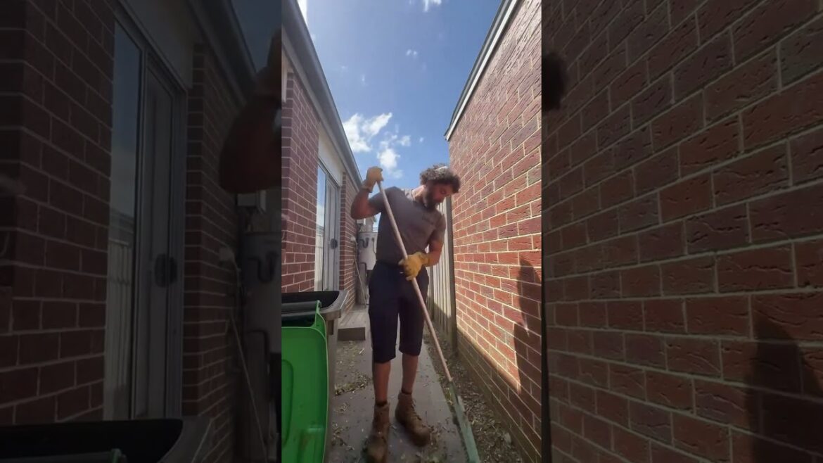 Quick Yard Cleanup 100 #YardCleanUp #GardeningTips #cleanspace  #TrimmingTips #cleaning  #backyard