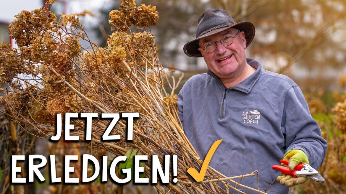 Gartenarbeiten im Februar 🌱 - Das solltest du DIESEN MONAT erledigen