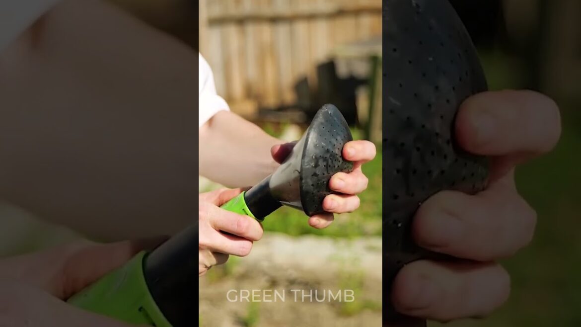 Unexpected Gardening Hacks: Transform Your Garden and Backyard with These Tips!