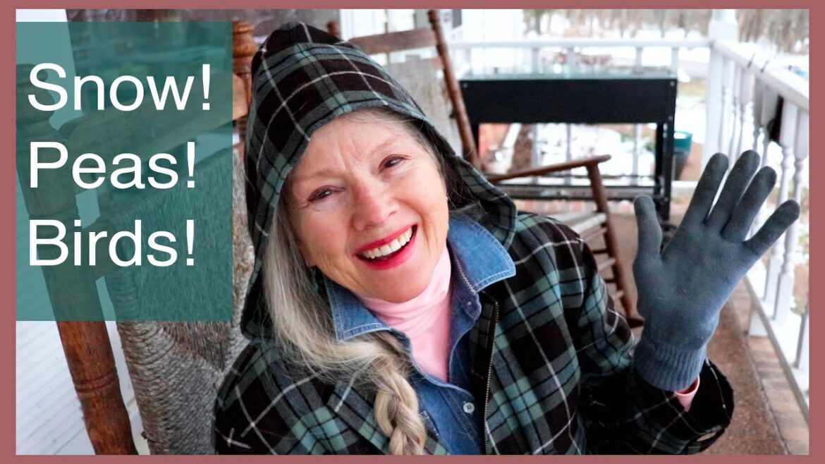 Seeding PEAS, feeding birds, new jacket, more SNOW!