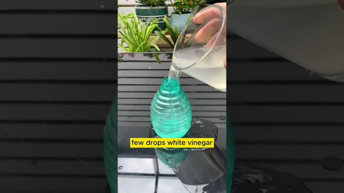 How To Grow Plants #shorts #shortvideo #youtubeshorts #shortfeed #viral #viralvideo #trends #best