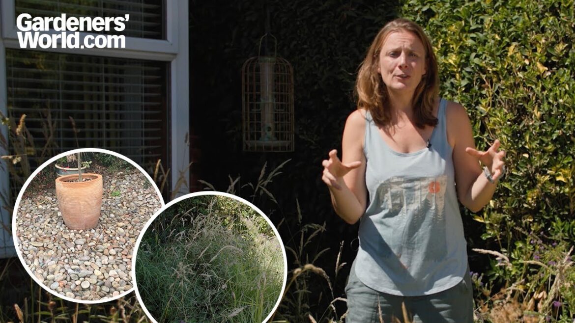 I made my FRONT GARDEN a WILDLIFE HAVEN - here's how simple it is to do | Kate Bradbury