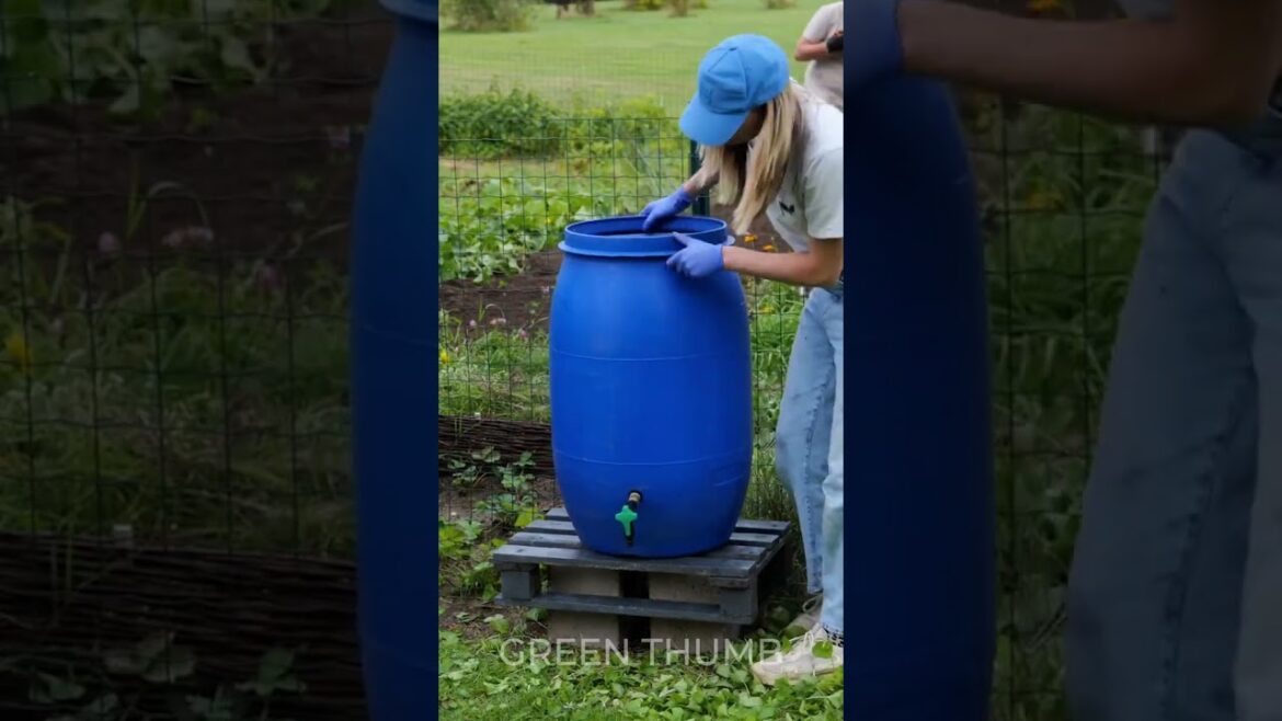 Transform Your WATER BARREL into a Stunning Garden Oasis ✨