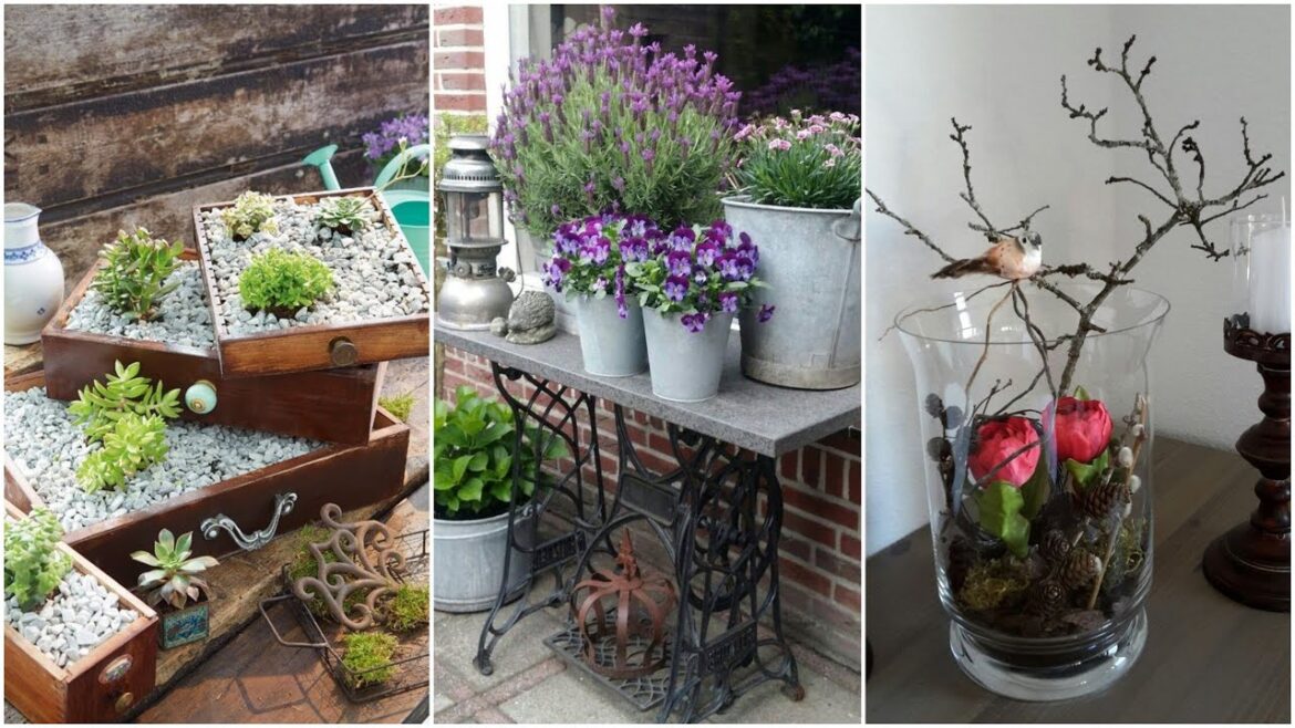 garden design,small garden,garden ideas,garden,small garden design,garden design ideas,small garden