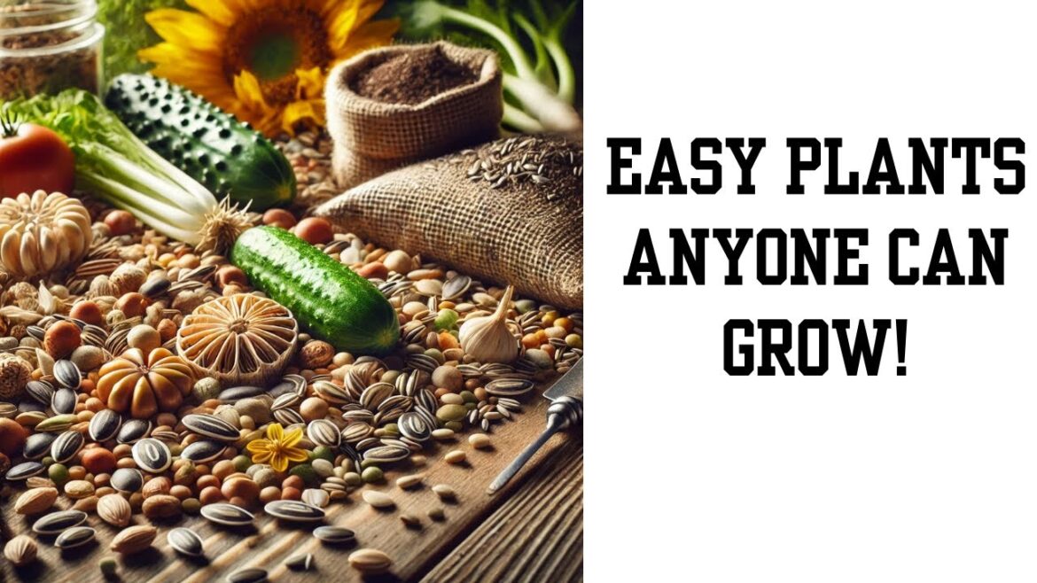 What Should I Grow My First Year?