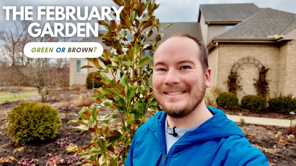 A Look at the February Garden | The Southerner’s Garden A Look at the February Garden | The Southerner's Garden
