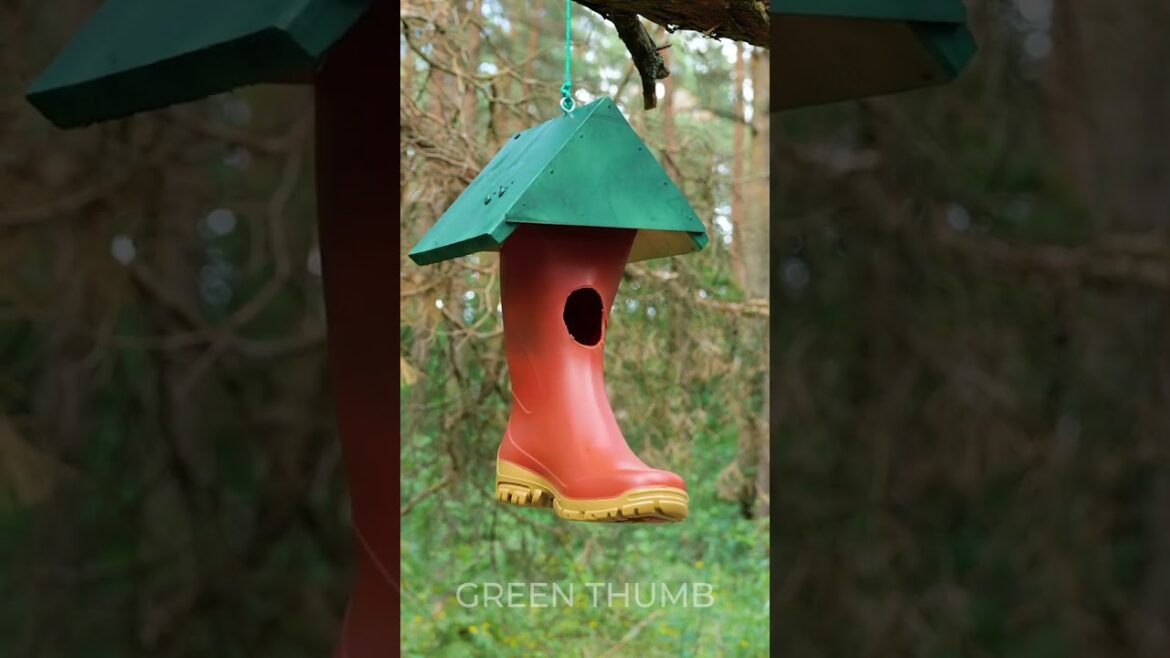 Unique Tips and Tricks That Will Wow Your Garden!