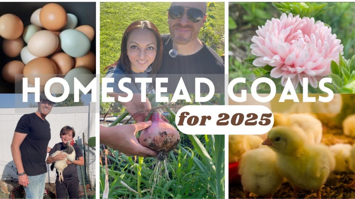 Our Homestead Goals for 2025: New Projects, Garden Plans, and Personal Aspirations! Our Homestead Goals for 2025: New Projects, Garden Plans, and Personal Aspirations!