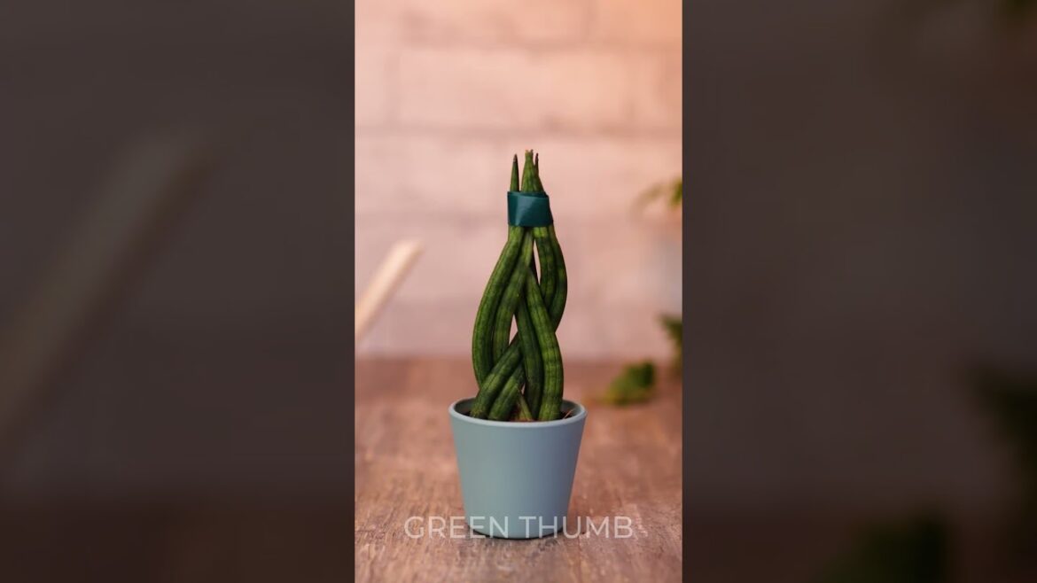 Boost Your Garden's LUSHness with These Awesome Plant Hacks!