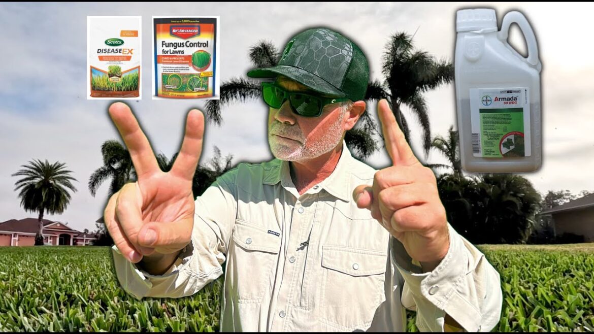 St Augustine and Zoysia :: Store Bought Disease Control – Detailed How, What, Why, SPREADER Settings St Augustine and Zoysia :: Store Bought Disease Control - Detailed How, What, Why, SPREADER Settings