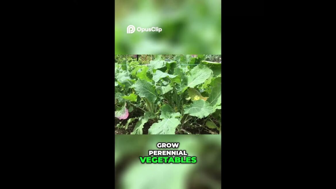 Plant Once Harvest forever #plantonceharvestforever #sustainablegardening #perennialplants Plant Once Harvest forever #plantonceharvestforever #sustainablegardening #perennialplants