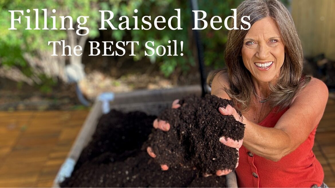 CaliKim: The BEST Soil for Raised Beds to Grow More Vegetables! (Plus DIY Rolling Garden Bed Dolly) The BEST Soil for Raised Beds to Grow More Vegetables! (Plus DIY Rolling Garden Bed Dolly)