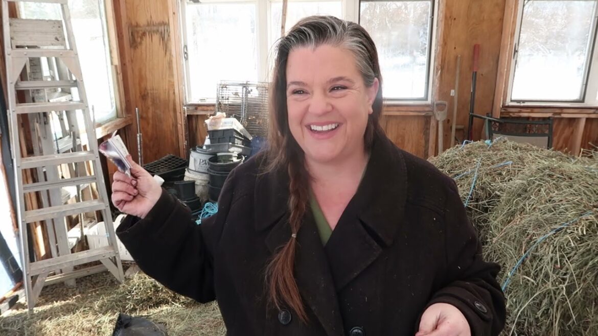 How to succession plant indoor and winter sowing | Crooked Row