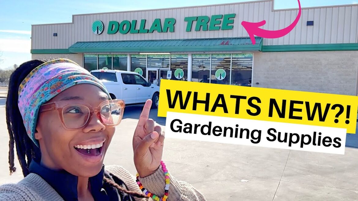 Whats New at DOLLAR TREE New Gardening Supplies😃🙌🏾🌸!!!#dollartree Whats New at DOLLAR TREE New Gardening Supplies😃🙌🏾🌸!!!#dollartree