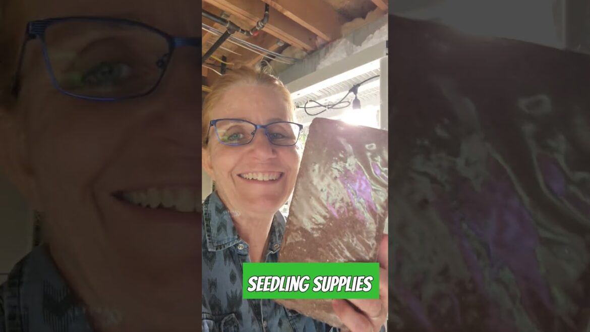 Seedling Supply - Part 2 #shorts