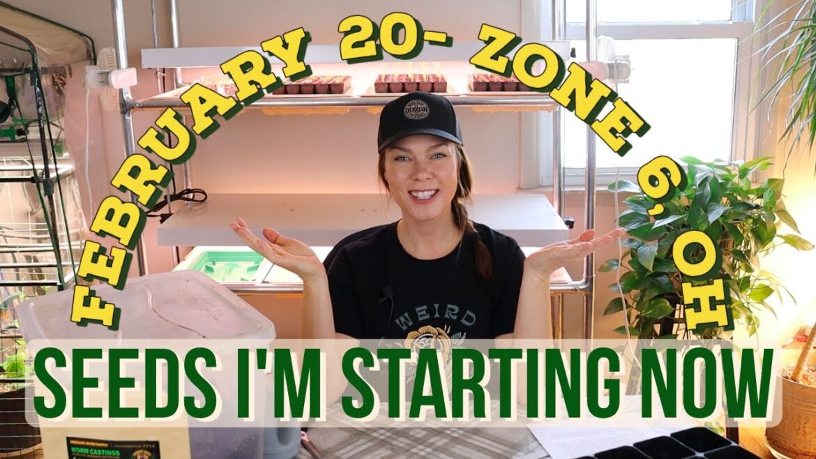 Veg, Herb & Flower Seeds to Sow in February- Zone 6 Veg, Herb & Flower Seeds to Sow in February- Zone 6