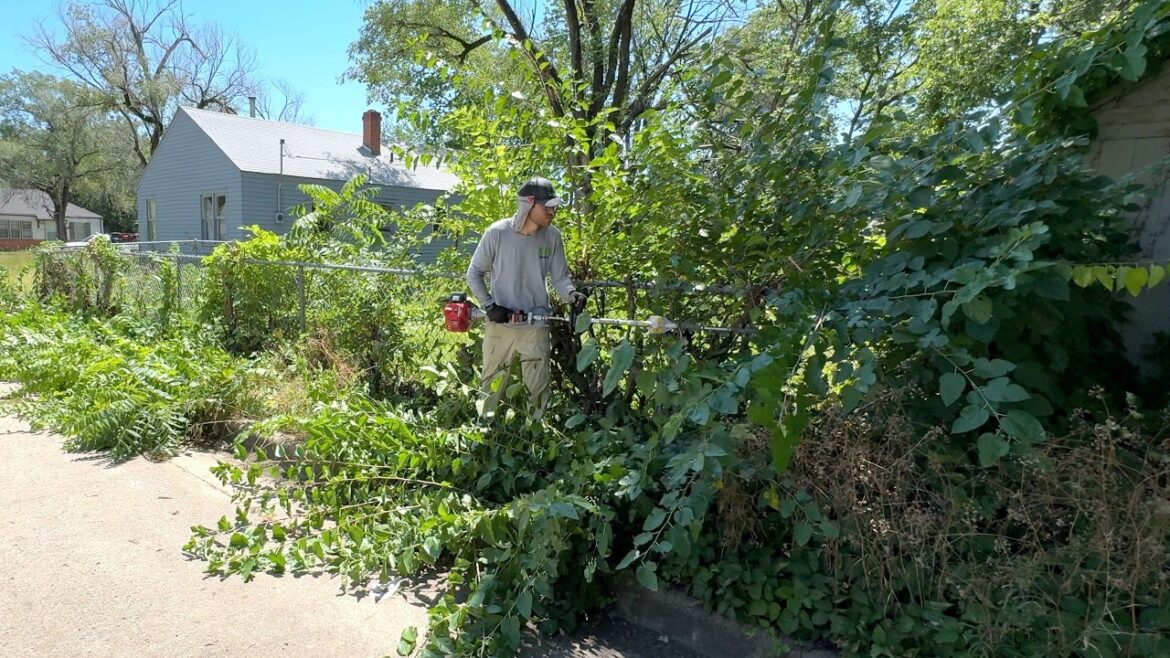 This FORGOTTEN property needed a MIRACLE after nearly a DECADE of ruin This FORGOTTEN property needed a MIRACLE after nearly a DECADE of ruin
