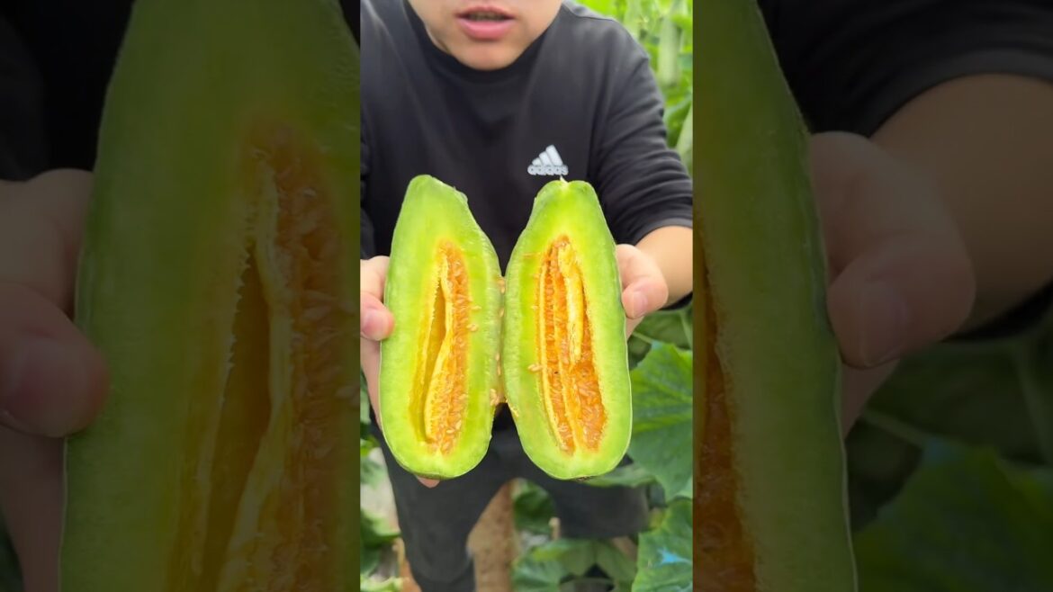 Beautiful nature with tasty fruit and vegetable 🍓🥭🍒🫑🫒🍌🍎 #shorts #fruit #nature