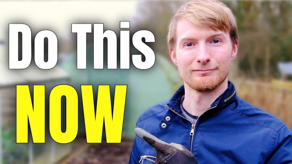 MUST DO February Jobs To Prepare Your Garden For Spring | Gardening For Beginners