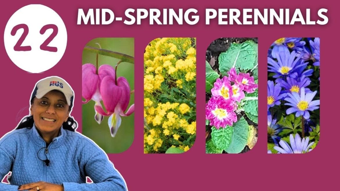 22 Early Blooming Flowers | Perennials For Spectacular Spring Garden! 22 Early Blooming Flowers | Perennials For Spectacular Spring Garden!