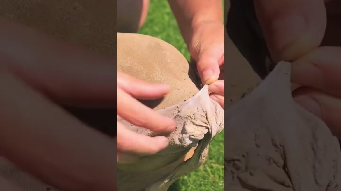 Guess the animal he's sculpting #crafty #craft #diy
