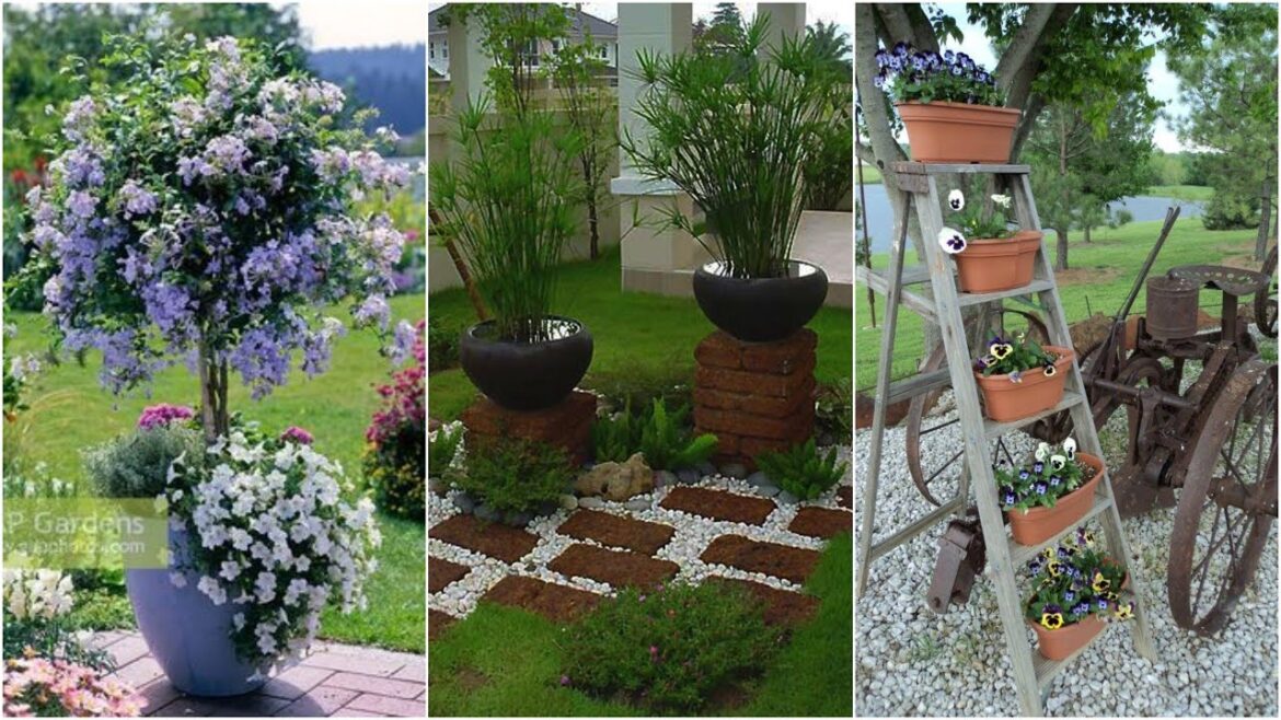garden design,small garden,garden ideas,garden,small garden design,garden design ideas,small garden
