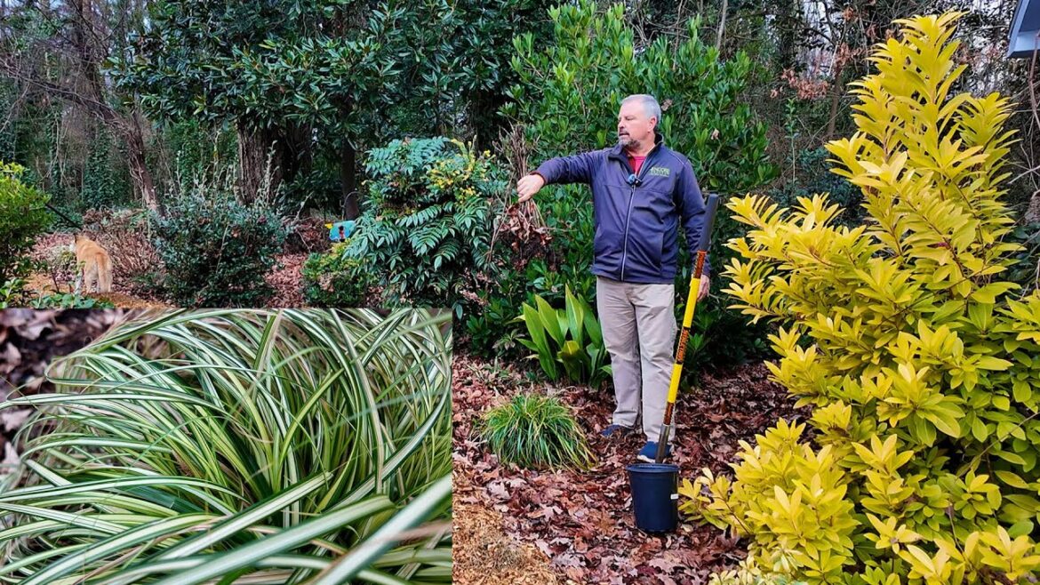 New Plants! Taking Out Plants, Pruning, What’s in Flower – Garden Task!! New Plants! Taking Out Plants, Pruning, What's in Flower - Garden Task!!