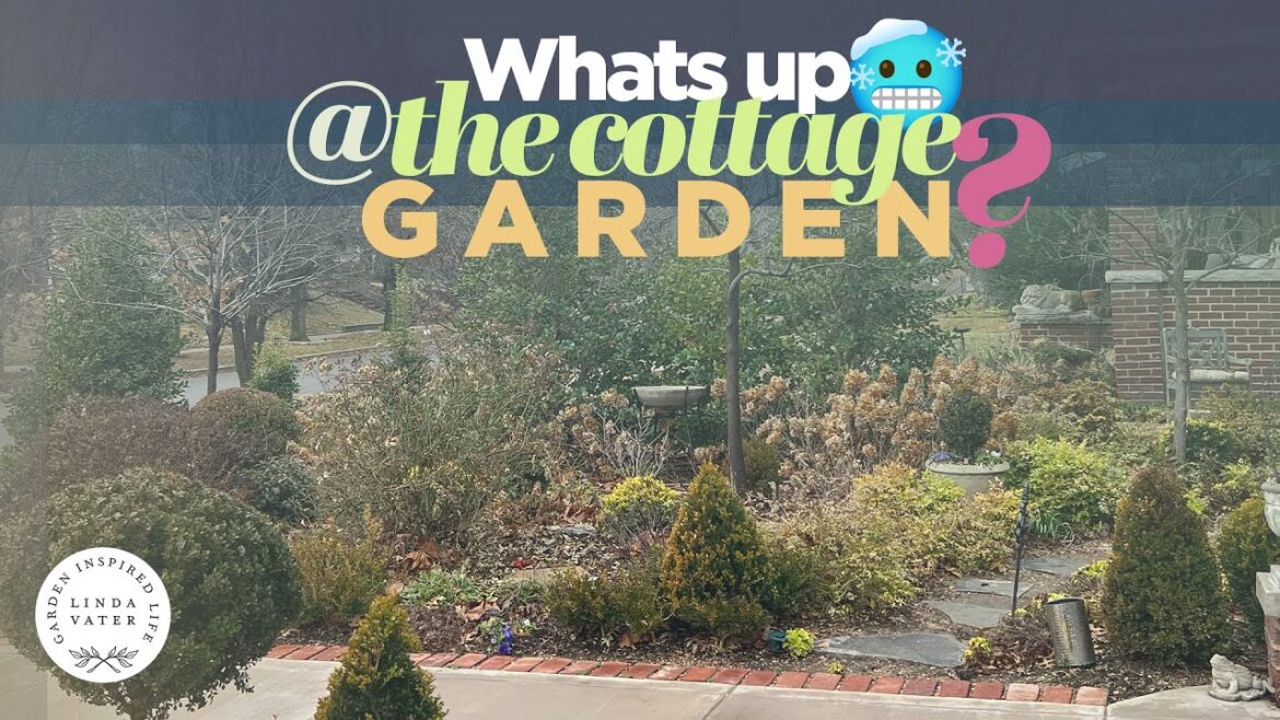 What Is Going On Today In My Garden What Is Going On Today In My Garden