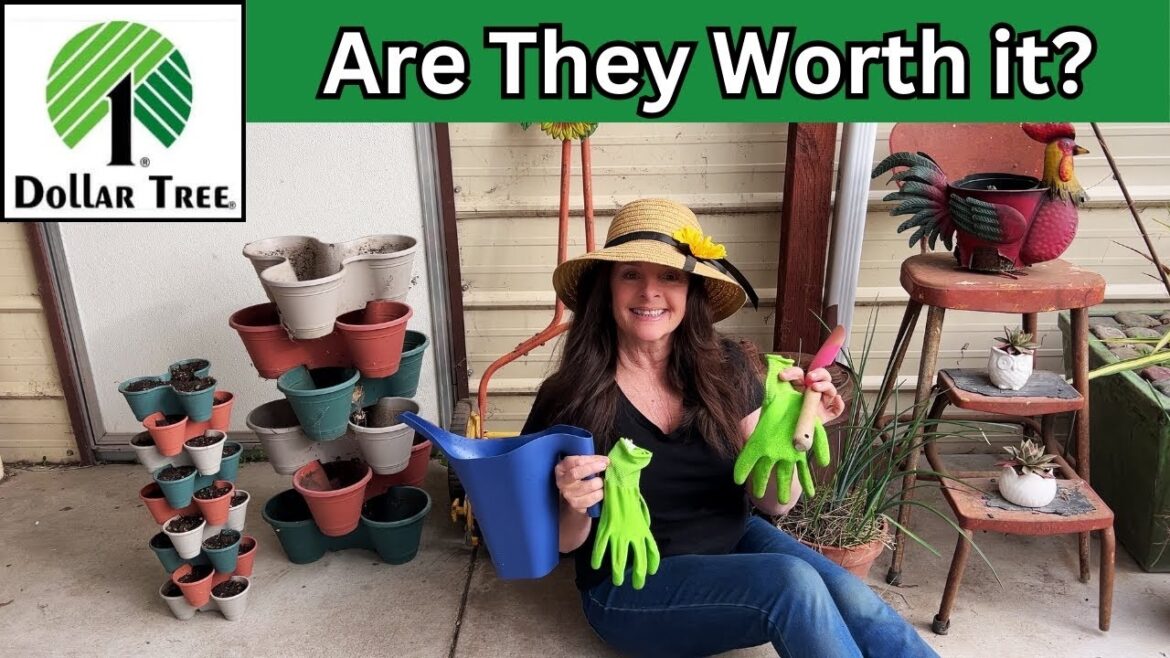 Dollar Tree Garden - Review & What NOT to Buy!