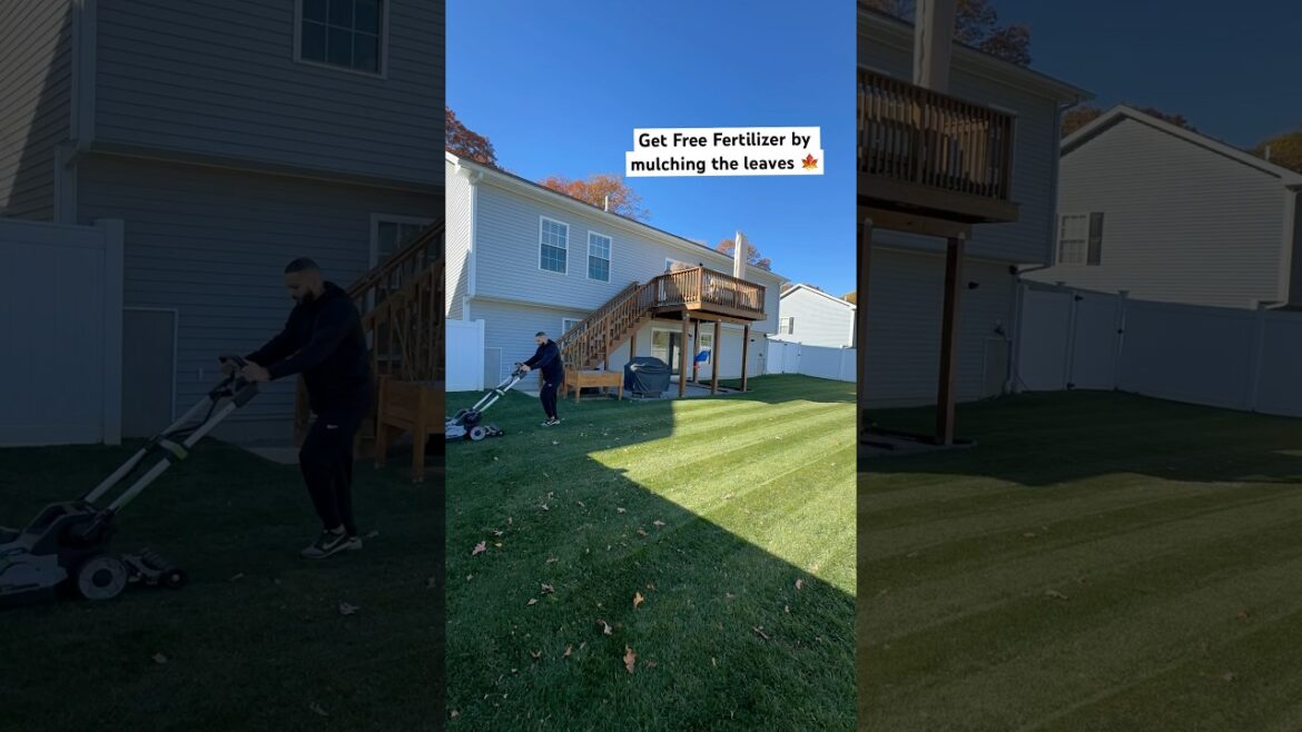 Hey Guys! Time to Mow the Backyard, Clean Up Fall Leaves & Get Free Fertilizer by Mulching!🍁 #DIY