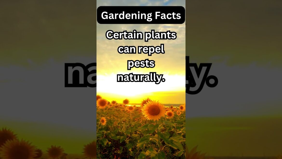 Mind-Blowing Gardening Facts #gardening #farming #plants #flowers #food #trending #viral #subscribe