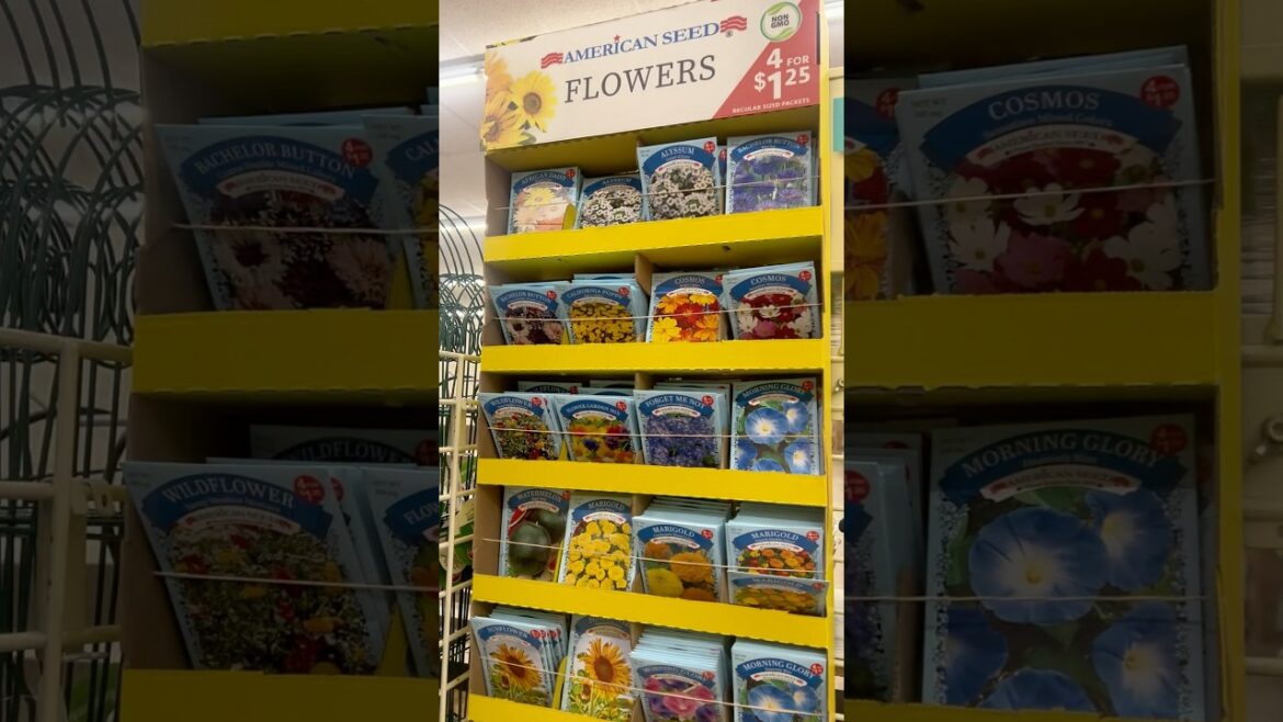 New Dollar Tree Gardening Supplies 2025 Products! #shorts #dollartree #gardening #planter #plants