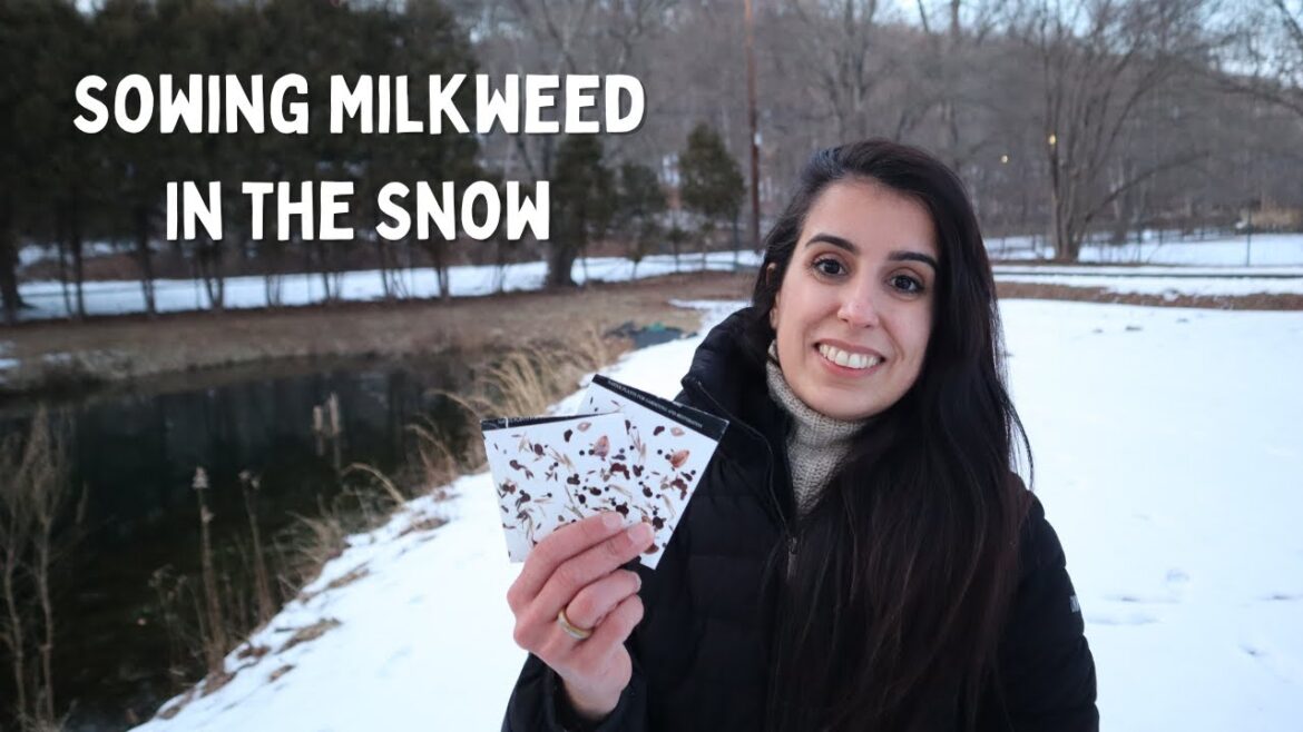 Sowing Milkweed Around the Pond + Garden Updates & February Plans ❄️