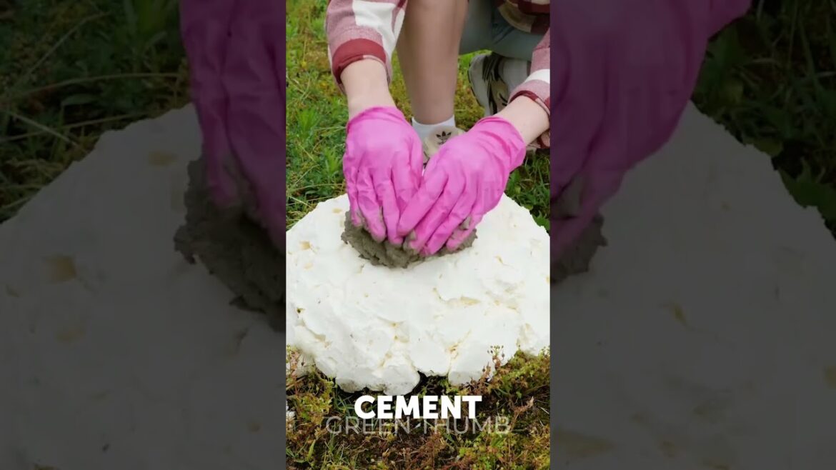 Weird Backyard Crafts for Creative Ones!